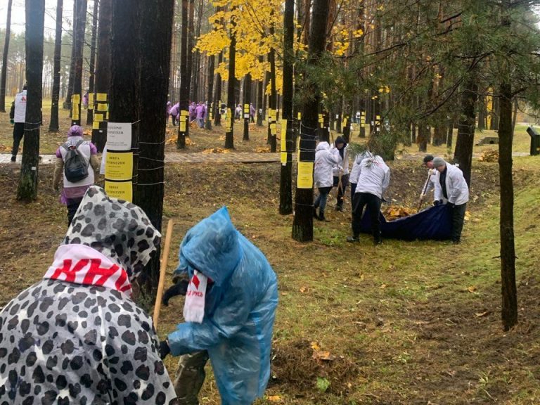 25 октября 2025 года работники ИВЦ Миноблисполкома приняли активное участие в республиканском субботнике в урочище Благовщина, мемориального комплекса «Тростенец» Минского района.